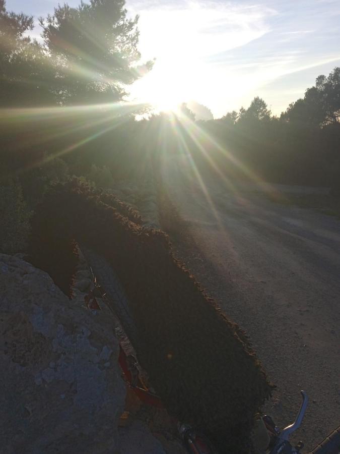 Pirats Des Vedra Luksusowy namiot *